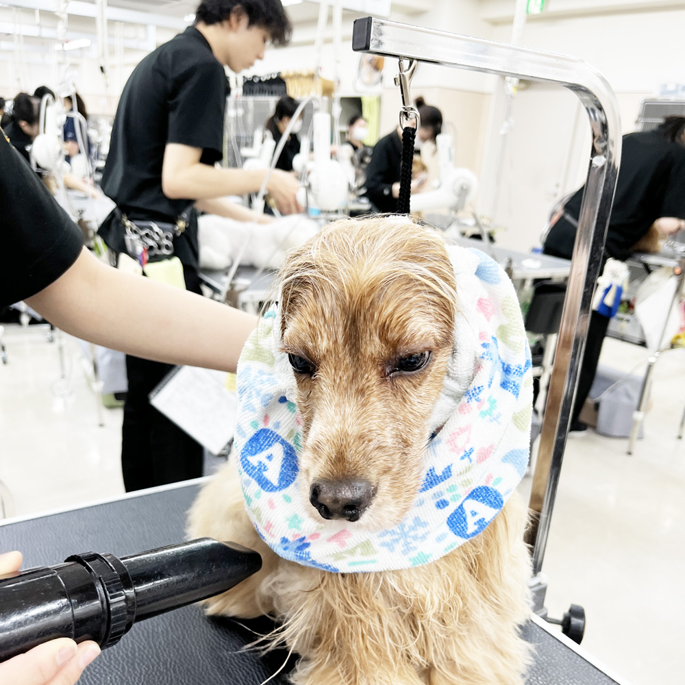 このお顔がたまらない！